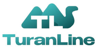 Chic and Elegant Turkey Dresses for Women A Perfect Blend of Tradition and Style