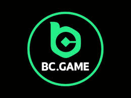 Discovering the Potential of BC App Your Gateway to Enhanced Productivity